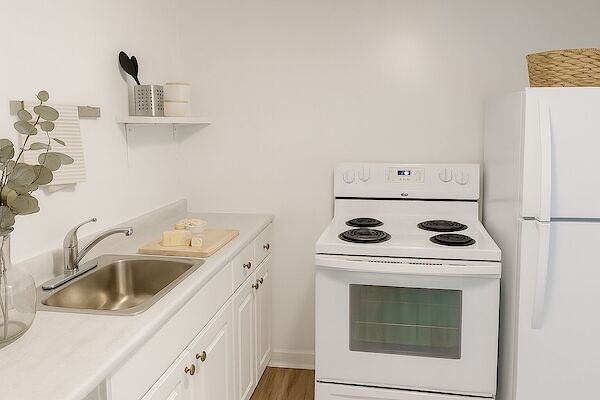Ottawa 1 bedroom Apartment for rent. Property photo: 420042-3