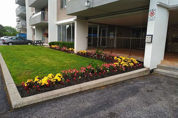 Markham 2 bedrooms Apartment for rent. Property photo: 420129-2