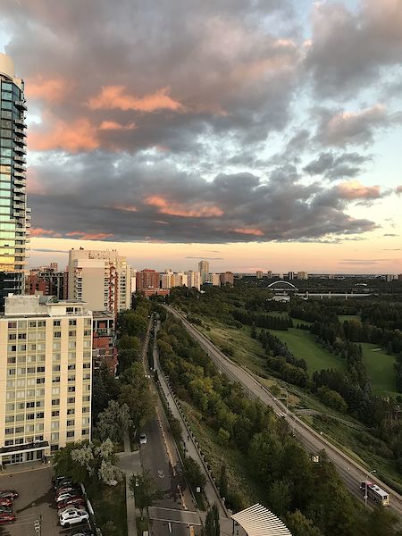 Edmonton 1 bedroom Condo Unit for rent. Property photo: 422365-2