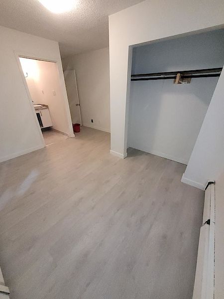 Edmonton 1 bedroom Apartment for rent. Property photo: 428221-3