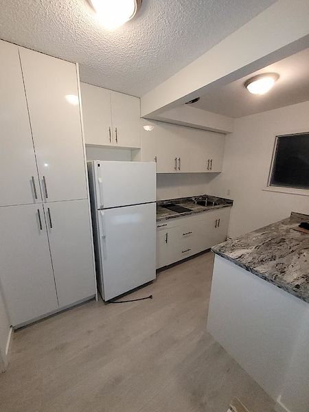 Edmonton 1 bedroom Apartment for rent. Property photo: 428221-2