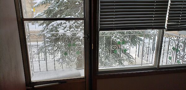 Edmonton 2 bedrooms Apartment for rent. Property photo: 433182-2