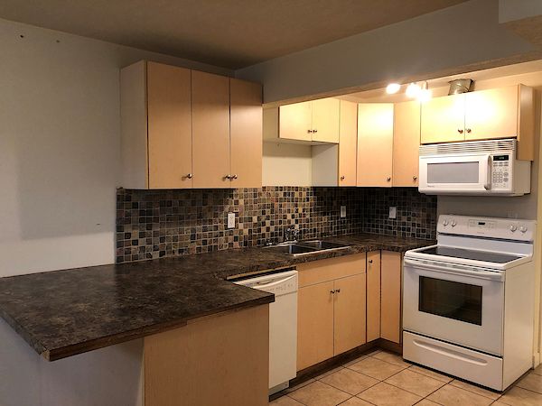 Edmonton 1 bedroom Duplex for rent. Property photo: 436008-3