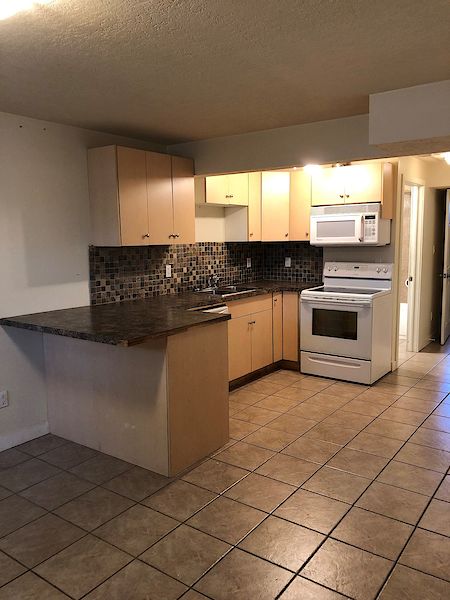 Edmonton 1 bedroom Duplex for rent. Property photo: 436008-2