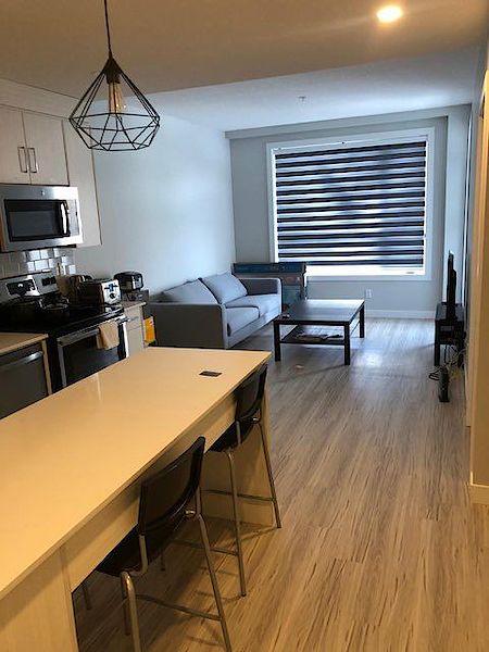 Calgary 2 bedrooms Condo Unit for rent. Property photo: 436052-2