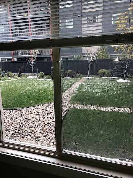 Edmonton 2 bedrooms Condo Unit for rent. Property photo: 436473-2
