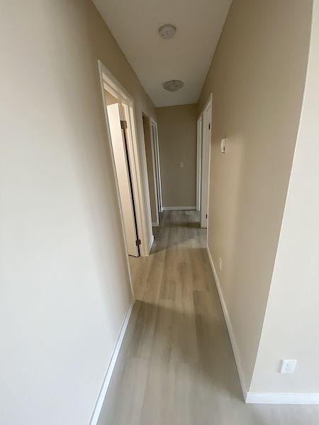 Edmonton 1 bedrooms Apartment for rent. Property photo: 438264-3