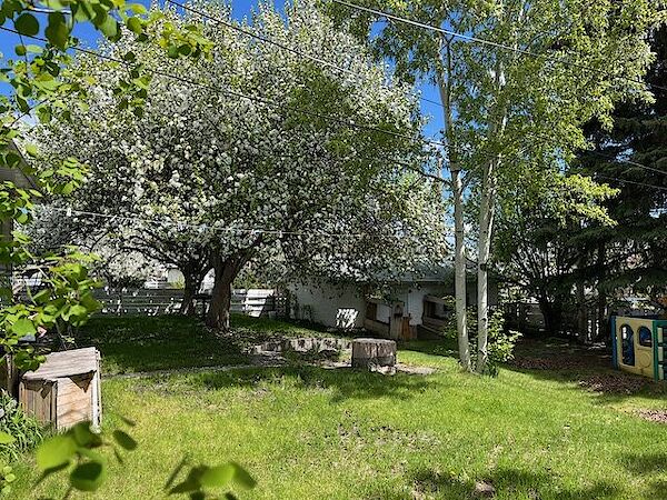 Calgary 5 bedrooms House for rent. Property photo: 440570-3