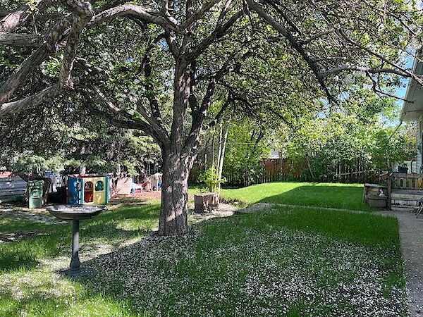 Calgary 5 bedrooms House for rent. Property photo: 440570-2