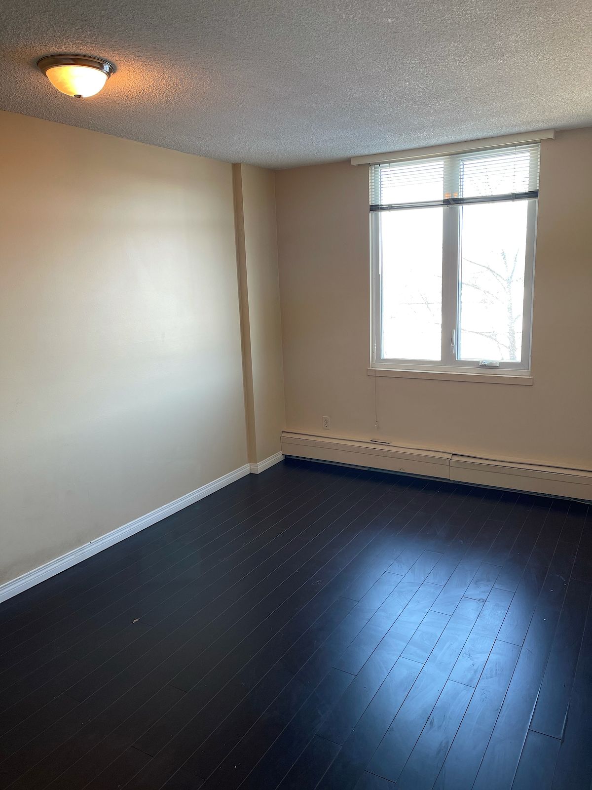 Calgary 2 bedrooms Condo Unit for rent. Property photo: 442315-1