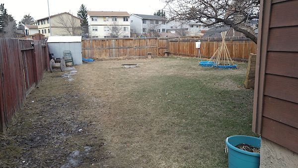 Calgary 4 bedrooms Main Floor for rent. Property photo: 444811-3
