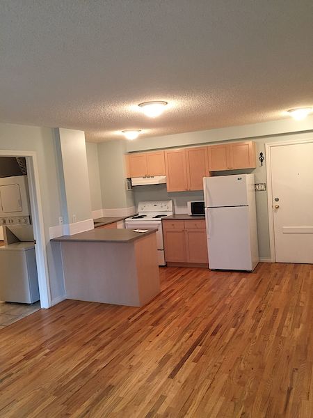 Edmonton 1 bedroom Condo Unit for rent. Property photo: 451751-2