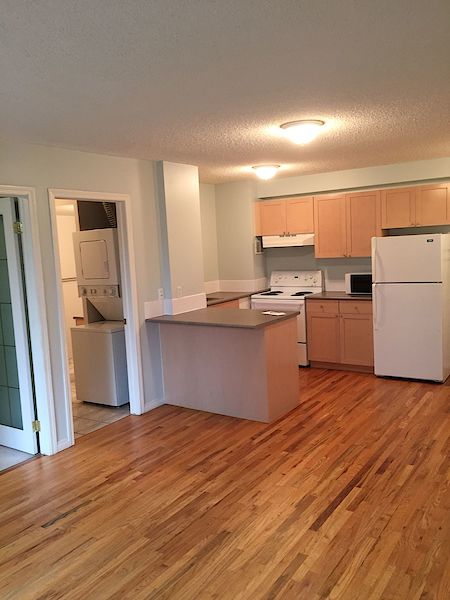Edmonton 1 bedroom Condo Unit for rent. Property photo: 451751-3
