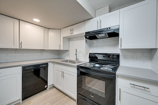 Edmonton 2 bedrooms Basement for rent. Property photo: 451876-3