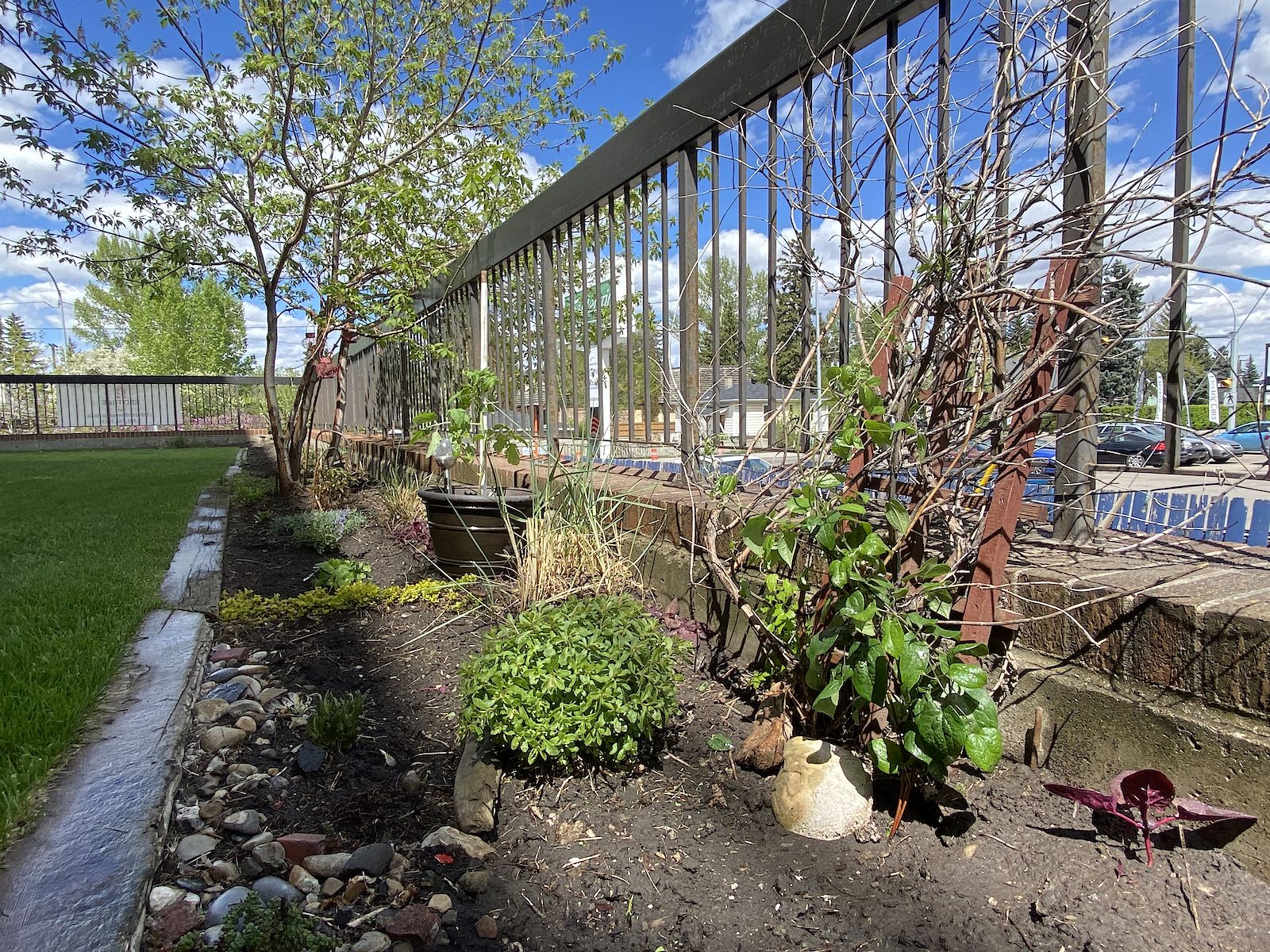 Calgary 2 bedrooms Condo Unit for rent. Property photo: 452309-1