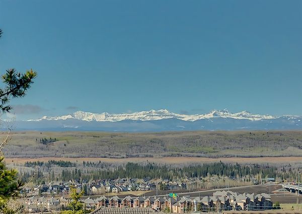 Calgary 6 bedrooms House for rent. Property photo: 452616-3