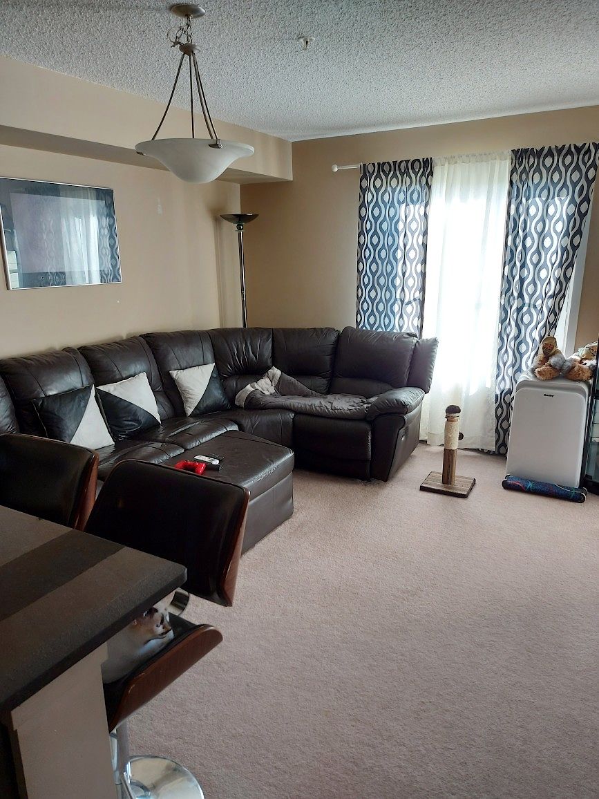 Edmonton 2 bedrooms Apartment for rent. Property photo: 453419-1