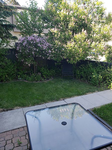 Calgary 3 bedrooms Townhouse for rent. Property photo: 453483-3