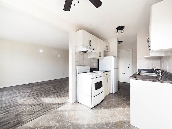 Edmonton 1 bedroom Apartment for rent. Property photo: 462881-3