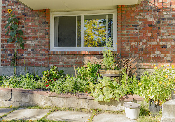 Calgary 2 bedrooms Condo Unit for rent. Property photo: 465923-3