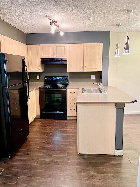 Edmonton 1 bedroom Condo Unit for rent. Property photo: 466543-3
