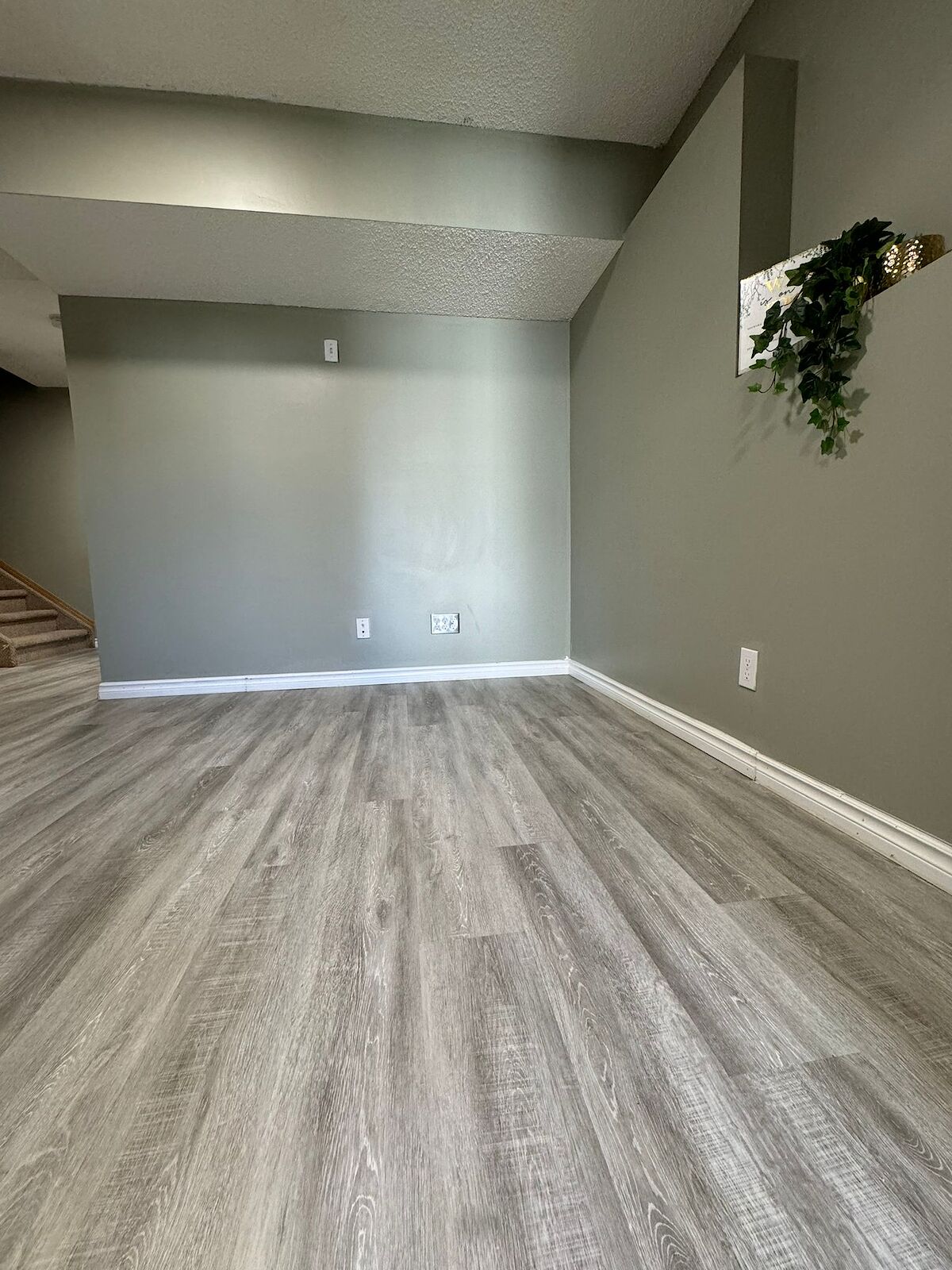 Calgary 2 bedrooms Basement for rent. Property photo: 466630-1