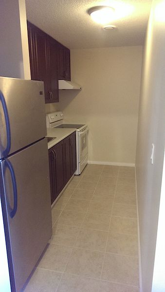 Calgary 2 bedrooms Basement for rent. Property photo: 468099-2