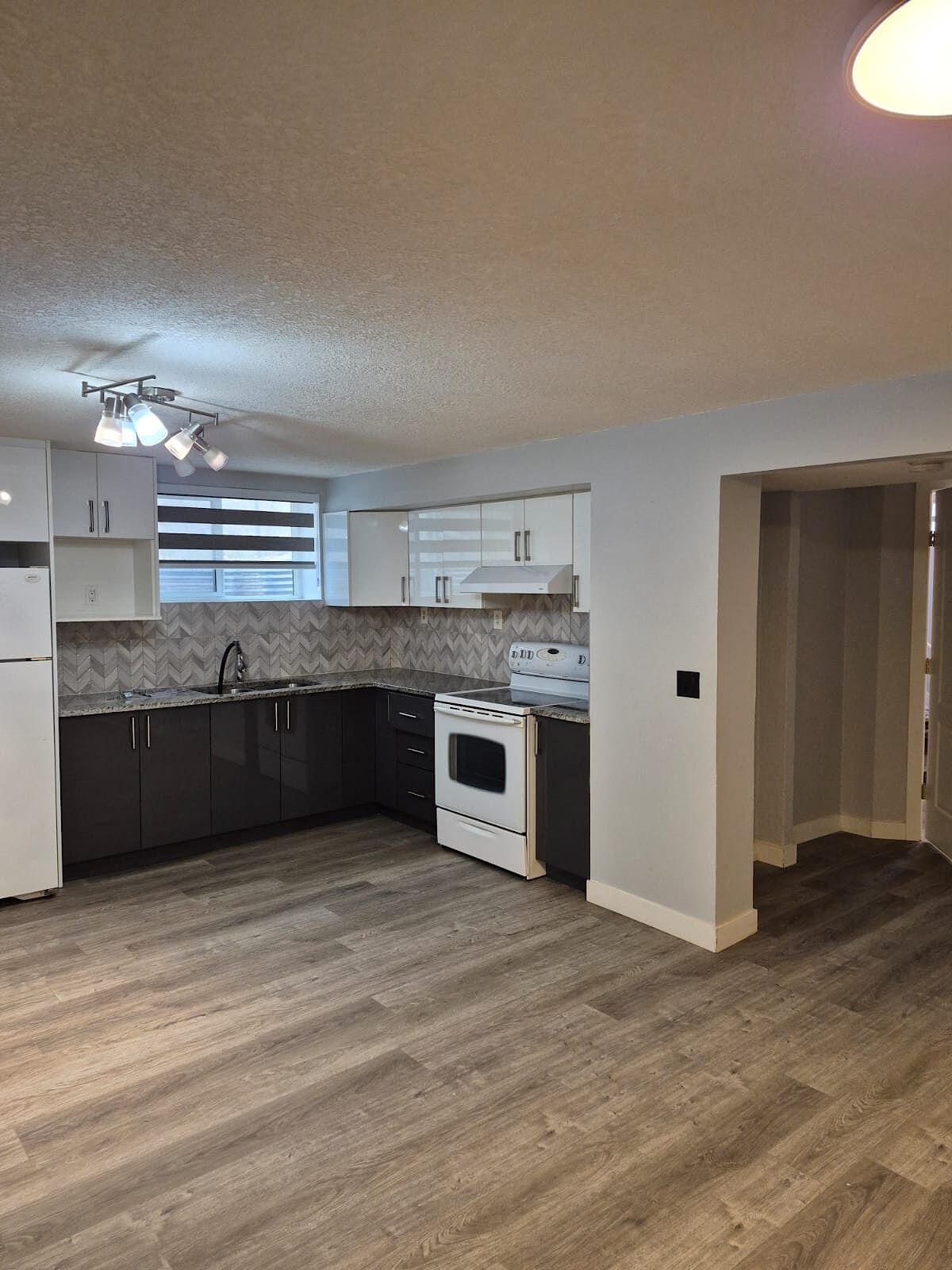 Calgary 2 bedrooms Basement for rent. Property photo: 468918-1