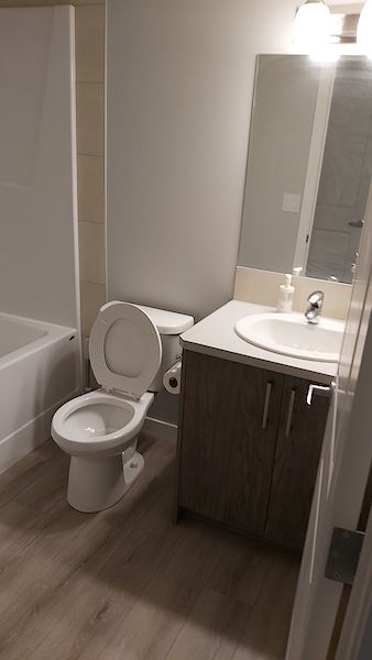 Bathroom Calgary 1 bedroom Basement for rent. Property photo: 472584-3