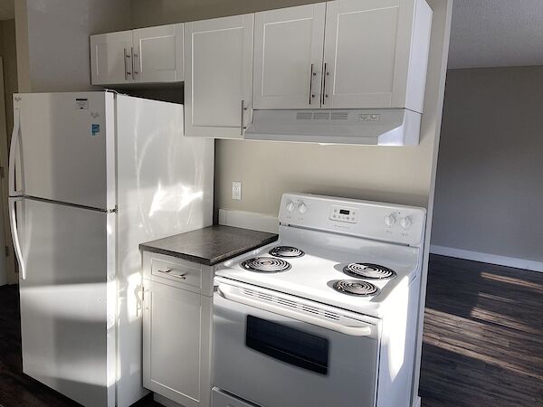 Edmonton 1 bedroom Apartment for rent. Property photo: 475070-3