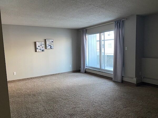 Edmonton 2 bedrooms Apartment for rent. Property photo: 475089-2