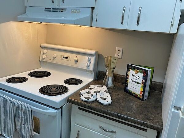 Edmonton 2 bedrooms Apartment for rent. Property photo: 475089-3