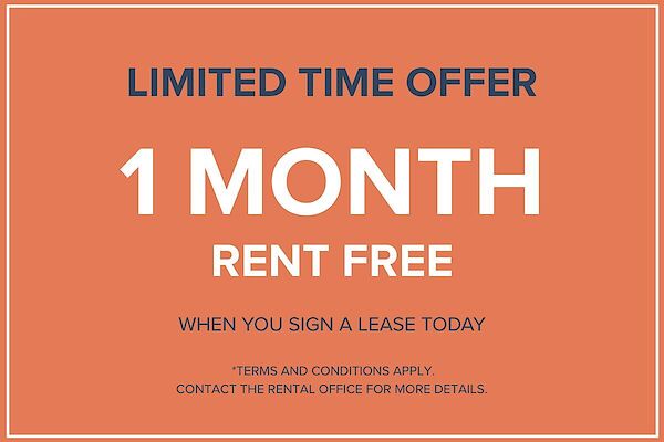 Halifax bachelor bedrooms Apartment for rent. Property photo: 477853-2