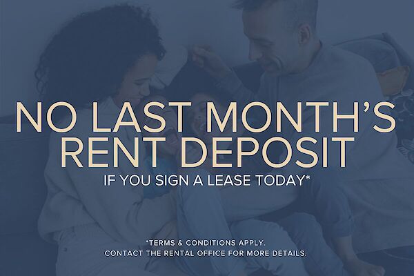 No+Last+Month%27s+Rent+Deposit North York 1 bedrooms Apartment for rent. Property photo: 477948-2