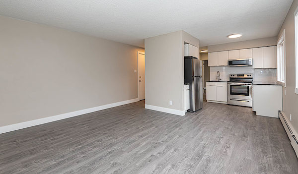 Edmonton 1 bedroom Apartment for rent. Property photo: 478063-3