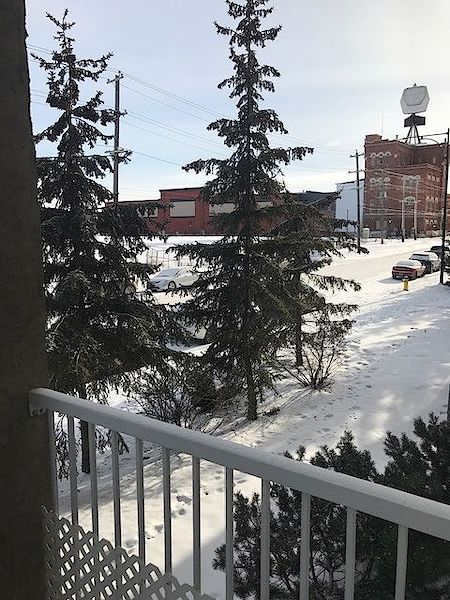 Edmonton 1 bedroom Condo Unit for rent. Property photo: 478480-2