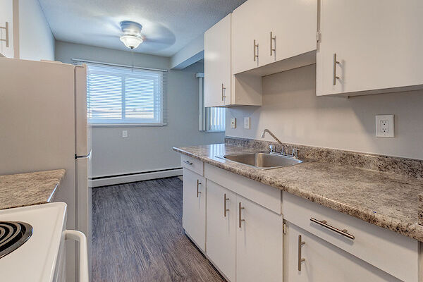 Edmonton 1 bedroom Apartment for rent. Property photo: 478579-3