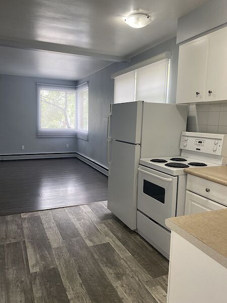 Calgary 1 bedroom Apartment for rent. Property photo: 479966-3