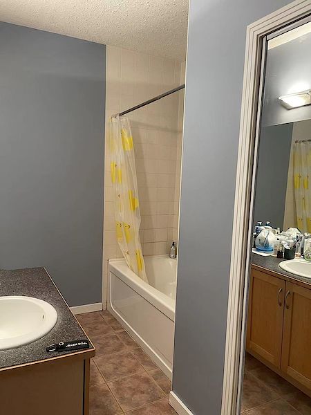 Edmonton 2 bedrooms Condo Unit for rent. Property photo: 485397-3
