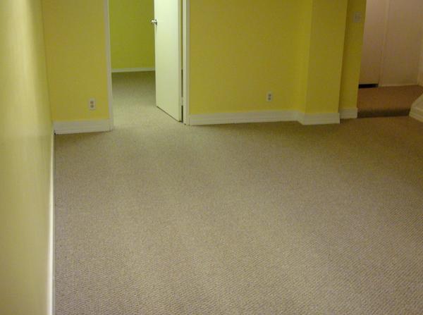 Calgary 1 bedroom Basement for rent. Property photo: 48752-1