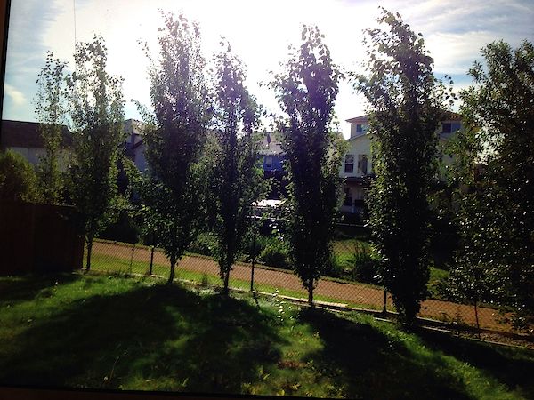Fort McMurray 2 bedrooms Basement for rent. Property photo: 488165-2