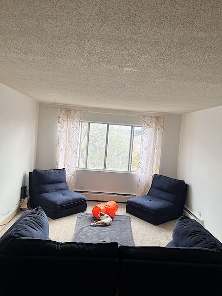 Edmonton 2 bedrooms Apartment for rent. Property photo: 488238-2