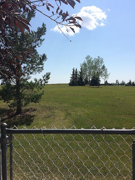 Edmonton 1 bedroom Room For Rent for rent. Property photo: 488314-2