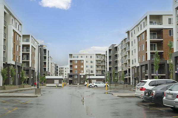 Calgary 2 bedrooms Apartment for rent. Property photo: 491791-3