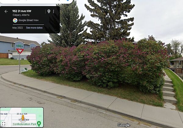 Calgary 3 bedrooms Duplex for rent. Property photo: 495255-2