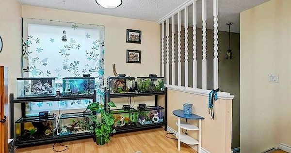 Calgary 2 bedrooms Main Floor for rent. Property photo: 496743-3