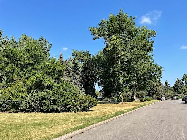 Calgary 4 + Den bedrooms House for rent. Property photo: 498835-3
