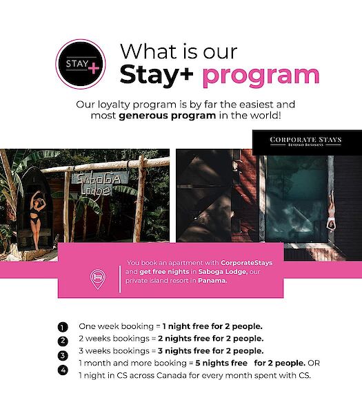 Montréal 1 bedroom Apartment for rent. Property photo: 505267-2