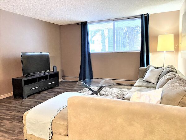 Edmonton 1 bedroom Apartment for rent. Property photo: 509292-3