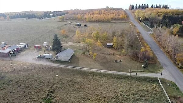 Dewinton studio Acreage for rent. Property photo: 511306-2